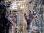 Title: Search 3, Medium: Digital Print on archival paper, Size: 24in x 18in, Year: 2010