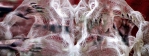 Title: Search 1, Medium: Digital print on archival paper, Size: 43 x 16 inch, Year: 2016