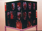 Title: Acrylic Cube - 4, Medium: Screen print on plexiglass and threads, Size: 24in x 24in x 24in, Year: 2001